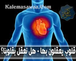 قلوب يعقلون بها - هل نعقل بقلوبنا ؟